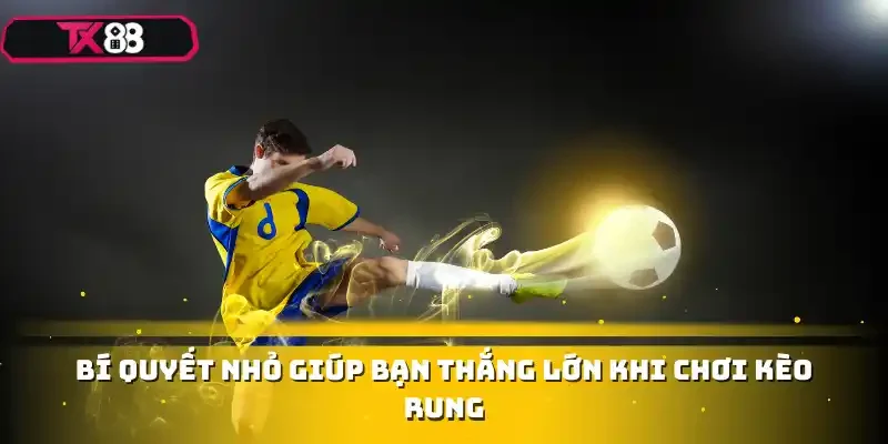 Bí quyết nhỏ giúp bạn thắng lớn khi chơi kèo rung