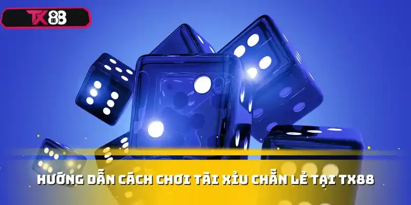 Hướng dẫn cách chơi tài xỉu chẵn lẻ tại TX88