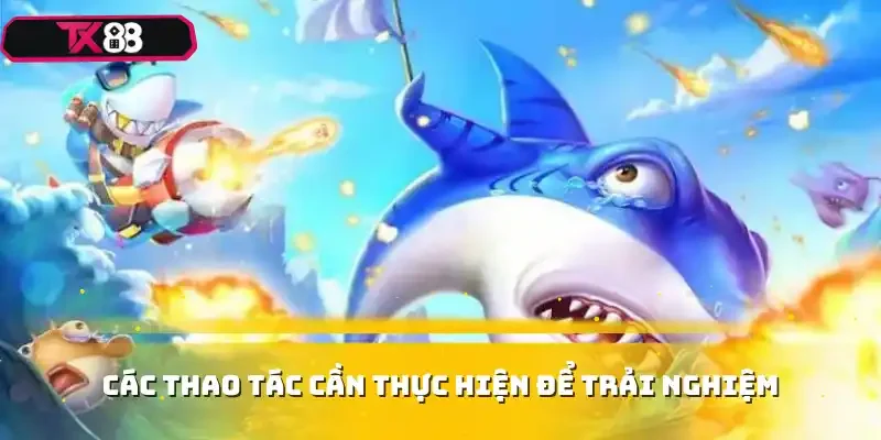 Các thao tác cần thực hiện để trải nghiệm