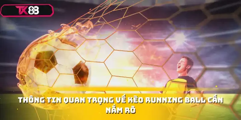 Thông tin quan trọng về kèo Running Ball cần nắm rõ