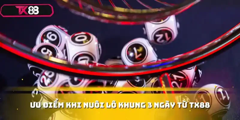 Ưu điểm khi nuôi lô khung 3 ngày từ TX88